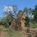 Les Ruines de Loropéni au Burkina Faso : Découvrez ses Mystères