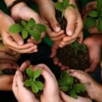 la protection de l'environnement