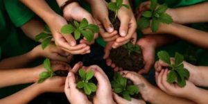 la protection de l'environnement