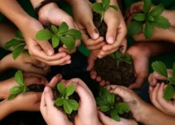 la protection de l'environnement