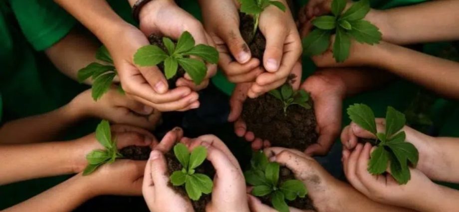 la protection de l'environnement