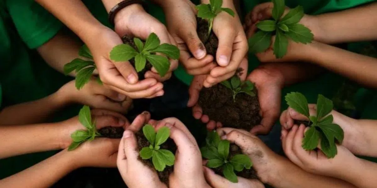 la protection de l'environnement