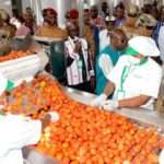 L&rsquo;ENTREPRENEURIAT AU BURKINA FASO