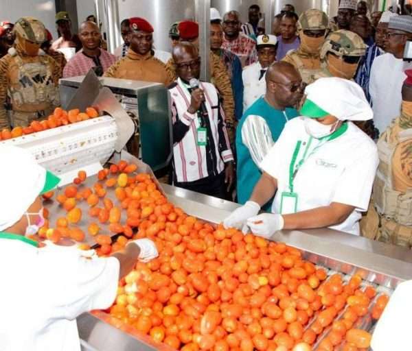 L&rsquo;ENTREPRENEURIAT AU BURKINA FASO