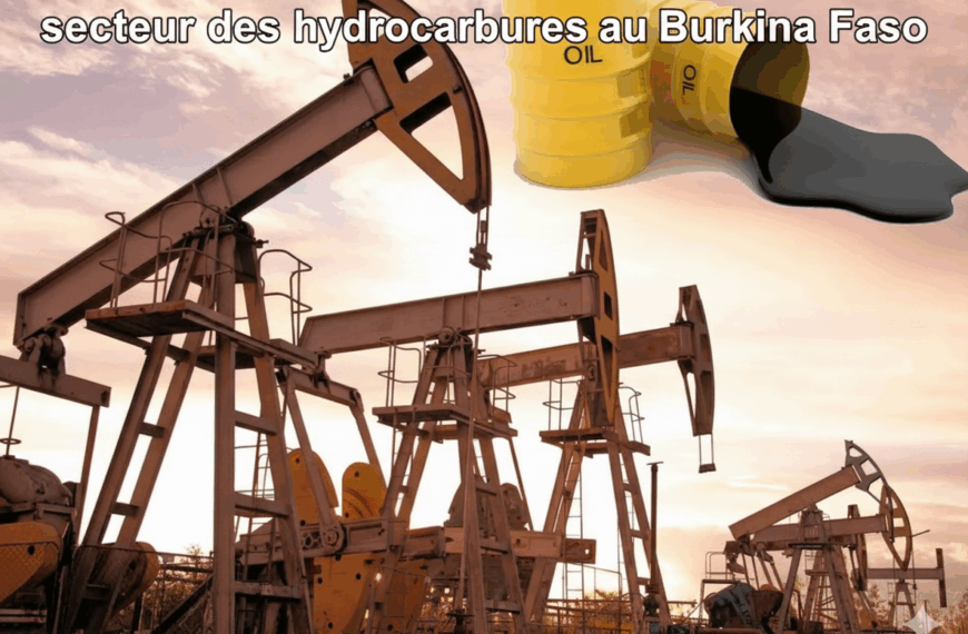 Hydrocarbures au secteur Burkina Faso : enjeux et perspectives du secteur énergétique