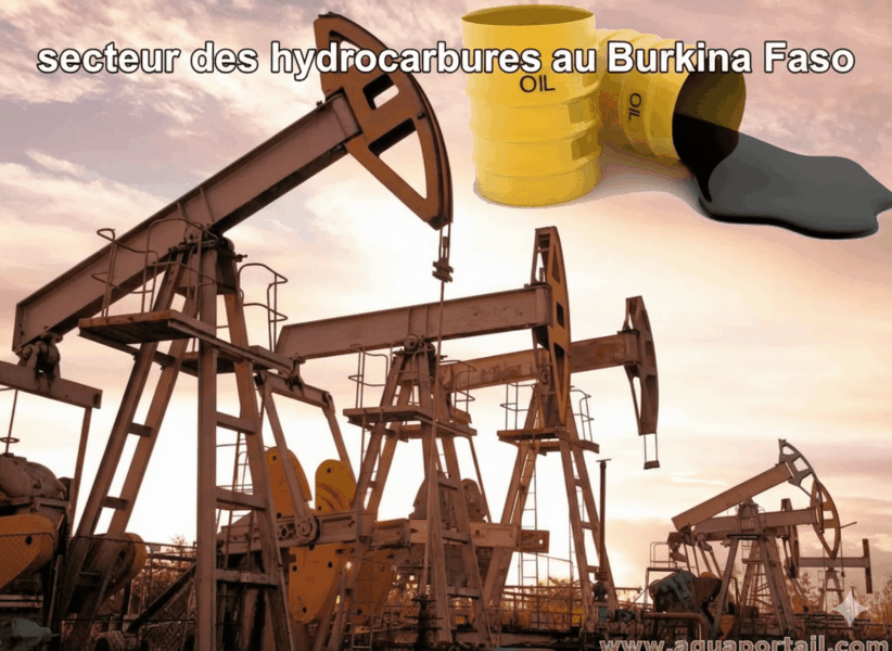 Hydrocarbures au secteur Burkina Faso : enjeux et perspectives du secteur énergétique