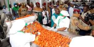 L&rsquo;entrepreneuriat au Burkina Faso : moteur d&rsquo;innovation