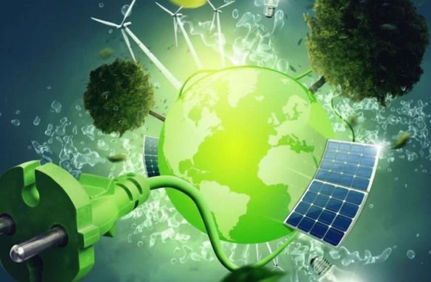 Les compétences digitales